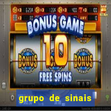 grupo de sinais fortune rabbit